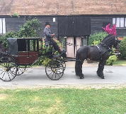 Horse and Carriage Hire in Cambridge
